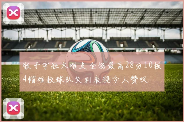 张子宇独木难支全场最高28分10板4帽难救球队失利表现令人赞叹