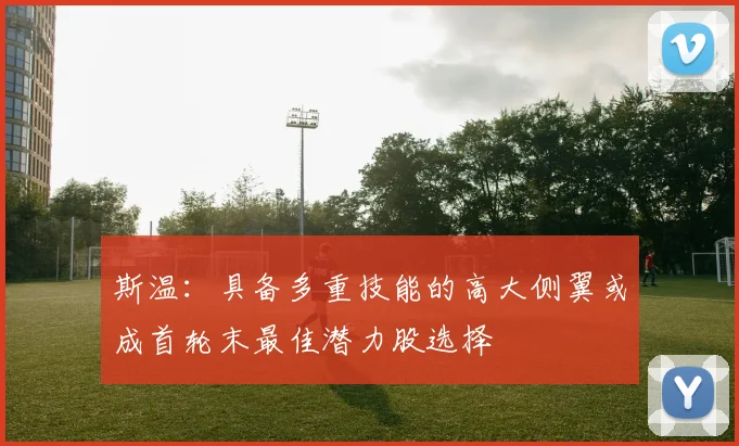 斯温：具备多重技能的高大侧翼或成首轮末最佳潜力股选择
