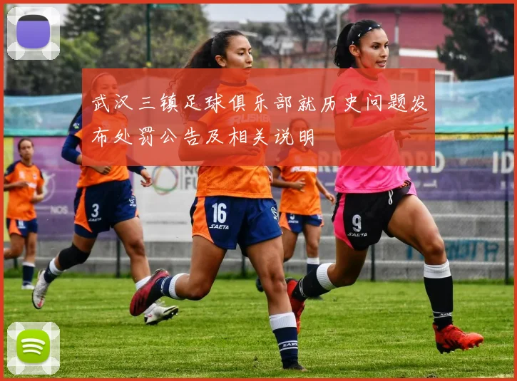 武汉三镇足球俱乐部就历史问题发布处罚公告及相关说明